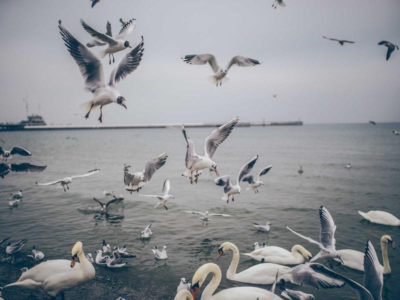 sudoku large numbers screenshot 3