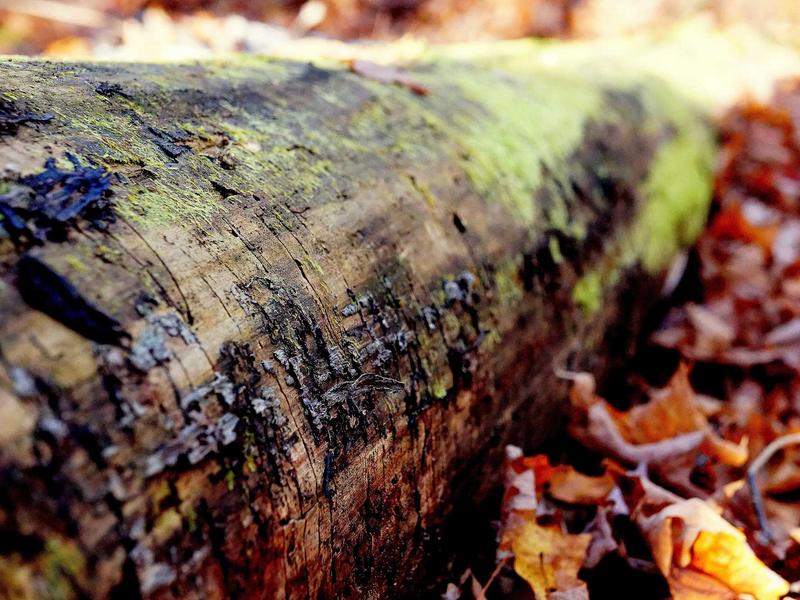 windows screenshot 6